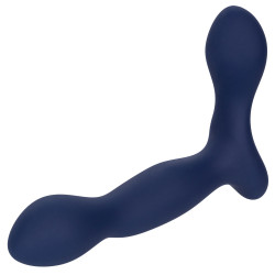 CalExotics Viceroy Stimulateur de prostate Expert Probe Viceroy 10 x 2.5cm